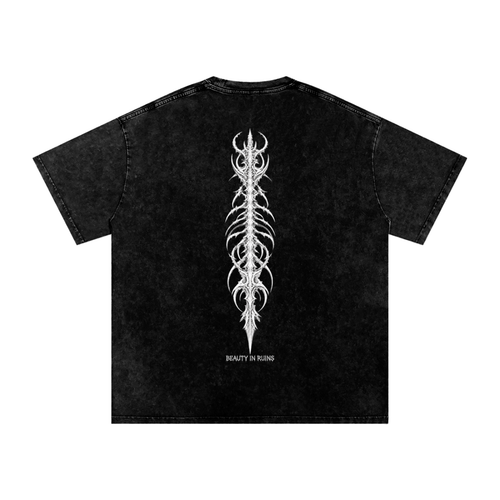Beauty in Ruins Unisex Snow Wash Tee